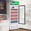 /uploads/images/20230621/Slimline-Beverage-Merchandiser-with-Clear-Front-Door-China.jpg